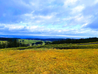 Fototapeta premium 見下ろす牧草地