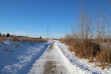 Obraz premium winter road in the snow