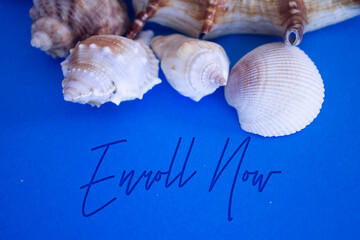 Animal Shell, Summer vacation, marine background with Enroll Now text.
