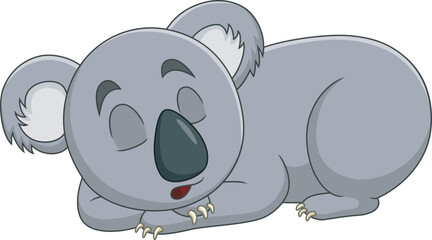 Cute koala sleeping isolated on white background