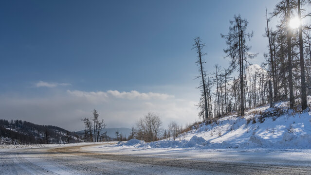 The road bends in a snowy valley. Snowdrifts on the side of the road. Bare trees on a hill, against a blue sky. The sun shines through the branches. Mountains in the distance. Altai. Chuysky tract