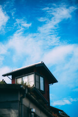 Landscape of Yanaka Ginza