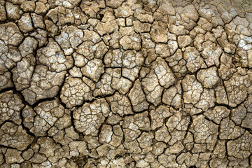 Dry soil surface with deep cracks textured background. Dried and cracked soil. Climate change. Desertification. Cracked earth, Texture of grungy Dry cracking parched earth. Global warming effect.
