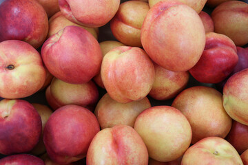 red nectarines