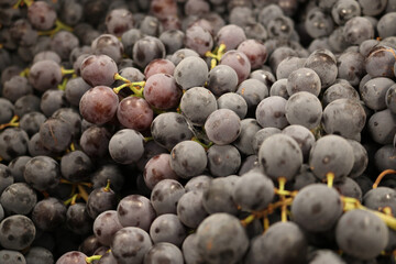 close up grapes