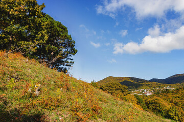 A path on the mountainside on an autumn sunny day. Beautiful view of the mountains under the blue sky with growing pine trees. Mountain landscape with autumn forest in yellow-red foliage.