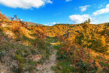 A path on the mountainside on an autumn sunny day. Beautiful view of the mountains under a blue cloudless sky on a sunny day. Mountain landscape with autumn forest in yellow-red foliage.