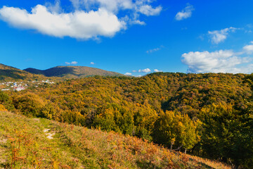 Beautiful view of the mountains with growing colorful autumn trees under a cloudy blue sky. Autumn forest in warm colors in the mountains on a sunny day.
