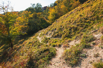 A path on the mountainside on an autumn sunny day. Mountain landscape with autumn forest in yellow-red foliage. Beautiful view of the mountains under a blue cloudless sky on a sunny day.