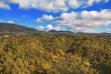 The mountains are covered with colorful autumn trees. Beautiful view of the stunning mountain scenery. A wonderful landscape with a forest in front of a cloudy blue sky on a sunny day.