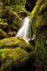 waterfall in the rainforest