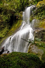 Obraz premium Waterfall hiding in the rainforest