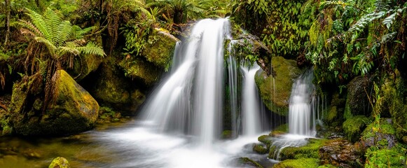 Waterfall among the rainforest - obrazy, fototapety, plakaty