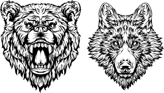 Head of bear, dog, wolf. Abstract character illustration. Graphic logo designs template for emblem. Image of portrait.
