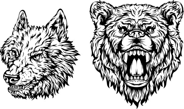 Head of bear, dog, wolf. Abstract character illustration. Graphic logo designs template for emblem. Image of portrait.
