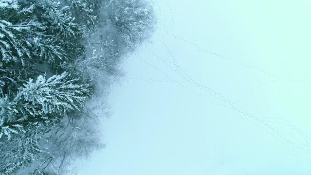 Alpine snow lands of Kitzbuhel Innsbruck Austria aerial 