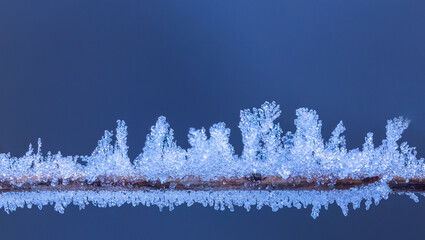 Clear blue crystals of frost on the branch