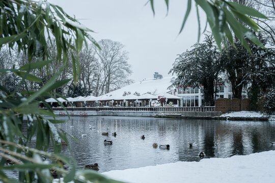 Aerial view of snow covered China sea garden in Willich