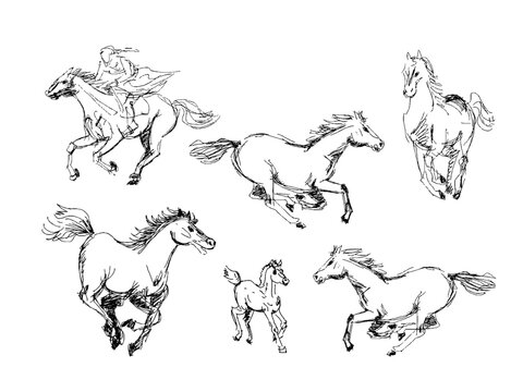 Set of outline horses ink pencil drawings on white background sketch. Vector illustration clipart