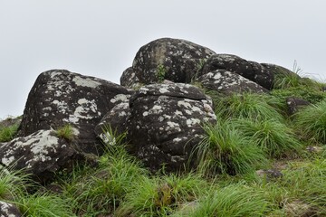 View of rock formations surrounded by grass