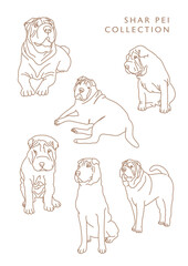 Shar Pei Dog Outline Illustrations in Various Poses