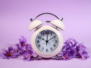 Clock on purple background. Time consept. Saffron flowers.