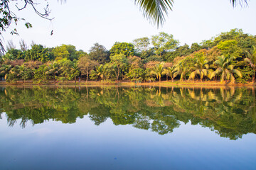 Natural landscape view Reflection of trees in the lake water against blue sky