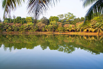 Obraz premium Natural landscape view Reflection of trees in the lake water against blue sky