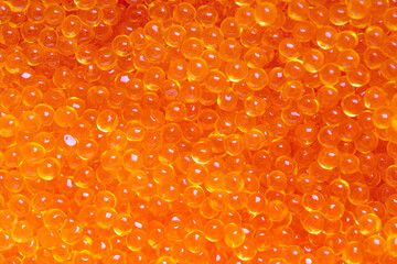 Macro photo of red caviar close up, salmon caviar background