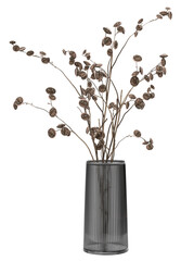 Fototapeta Stylish modern dried flower arrangement in cylindrical vase as home decoration. 3D Rendering obraz