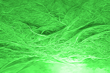 Fototapeta premium Green background texture design, complex shapes with different shades of emerald green, spring swirly blossom and elegant concept wallpaper 