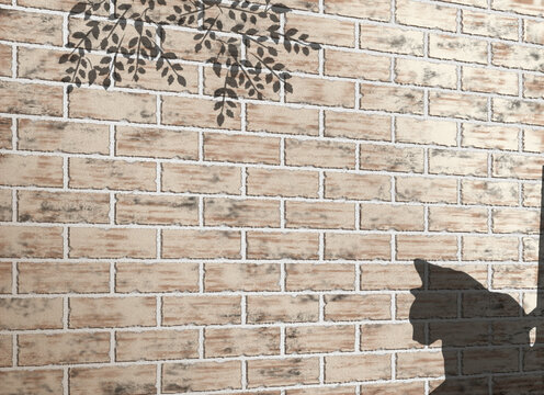 陽だまりの中、佇む猫の影, Sunshine and silhouette of cat