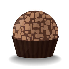 Traditional brazilian sweets brigadeiros. Chocolate balls decorated with chocolate