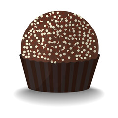 Traditional brazilian sweets brigadeiros. Chocolate balls decorated with chocolate