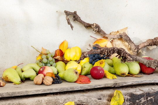 autumn crop on the wooden board. lots of ripe fruits. natural grown food and rural lifestyle