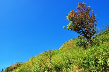 Obraz premium The clear sky before to the top of mountain. 