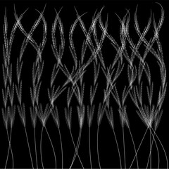 black and white background Branches and leaves on background