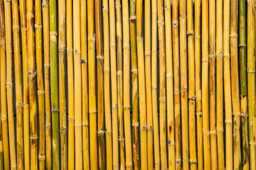 bamboo fence background and texture.