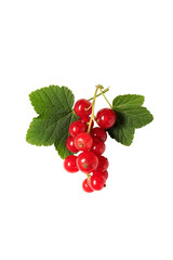 Red currant berries with leaf isolated on white background, currant isolate