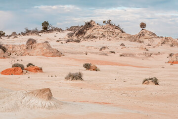 Australian desert sands and colourful ochres