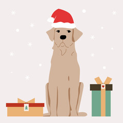 labrador sits, dressed up in a santa claus hat. New Year illustration. Christmas. Gifts and snow.