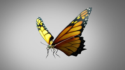 Butterfly flying Close up 3D rendering