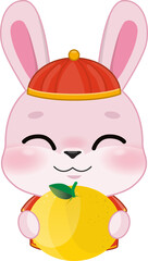 Pink Rabbit Boy Holding Orange in Chinese New Year Festival Cartoon Style
