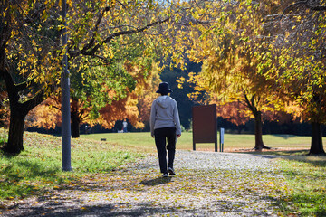 秋の公園で散歩しているシニア女性の後ろ姿