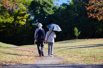 秋の公園で散歩しているシニア夫婦の後ろ姿
