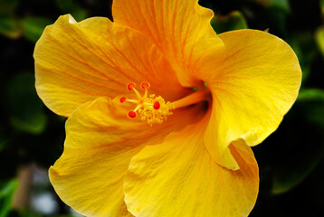 High five - Gib mir Fünf