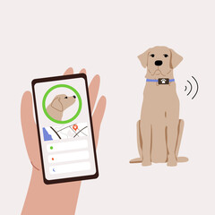 The Labrador sits in a collar. Tracker for dogs. Application with geolocation in the phone. The location of the pet.