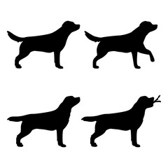 Labrador dog illustration. Set of standing and step poses, walk. The dog is standing. The dog is holding a stick. Various actions. silhouette