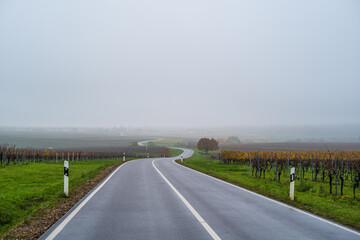 Fototapeta premium november, straße in den nebel