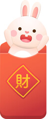 Cute rabbit character or mascot, Chinese new year, reward with red paper bag, year of the rabbit, vector cartoon style